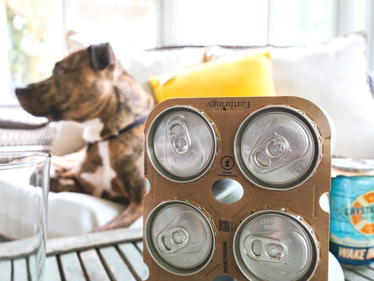 Earthrings 4 Pack Carrier - Standard Can