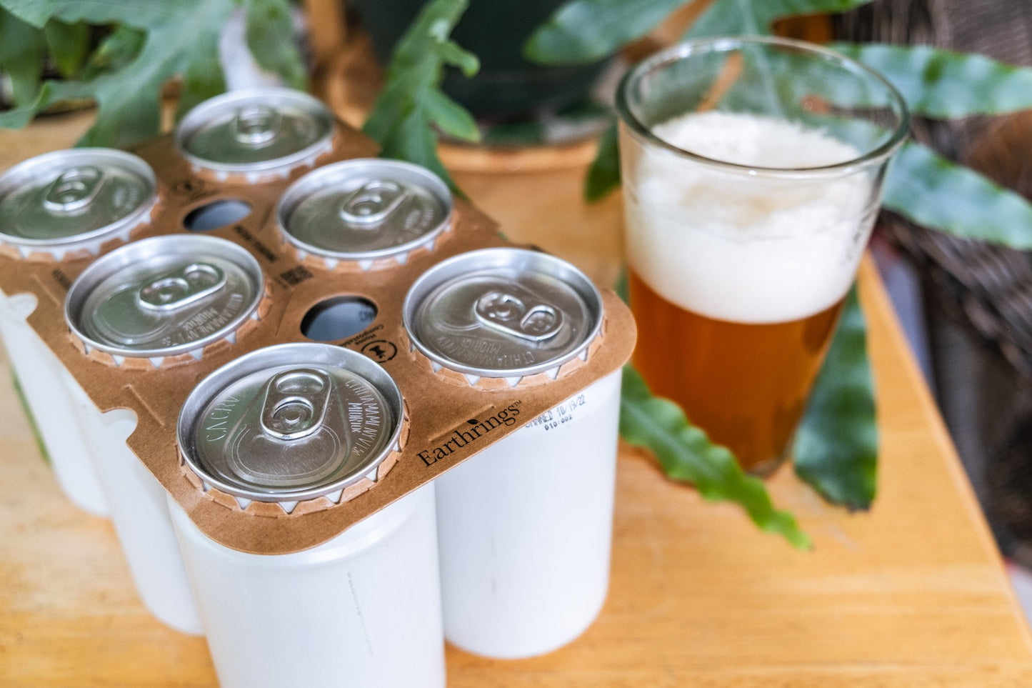 Earthrings 6 Pack Carrier - Standard Can